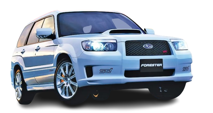 1x Genuine Subaru Forester 05 - 07 SG STi Car Door Hinge Check Arm Stopper Front