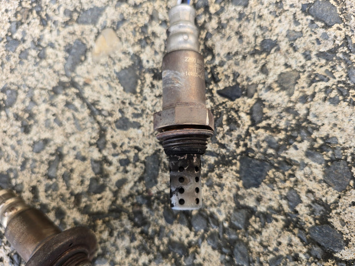 45489291