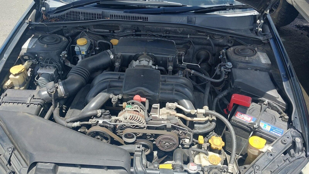44397365
