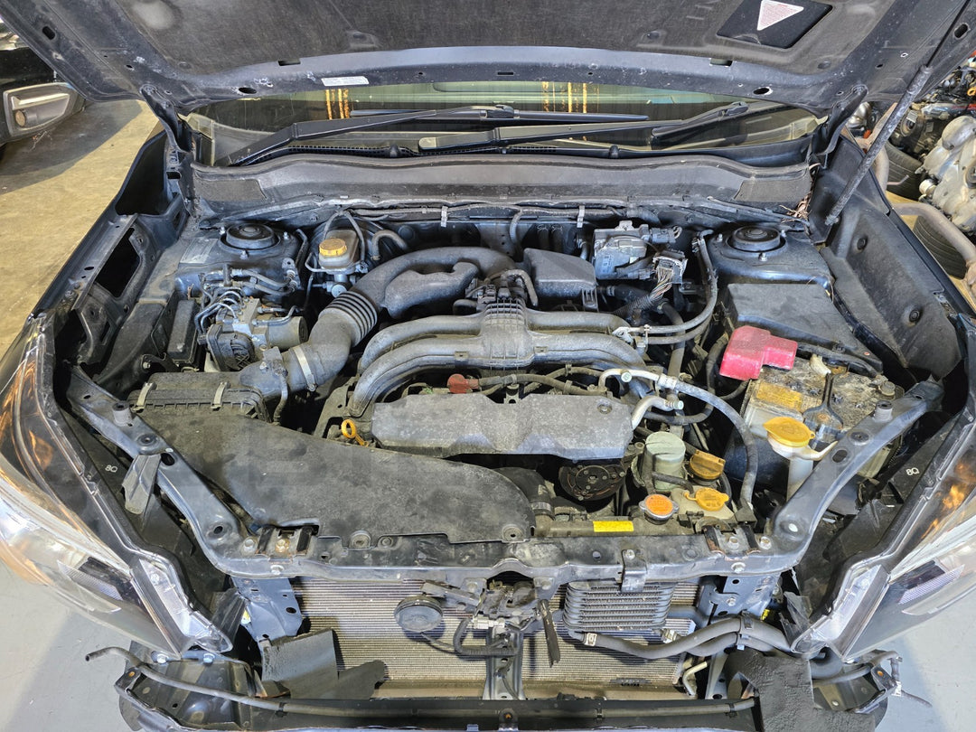 45593294