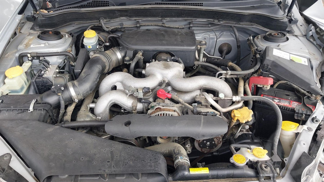 45217561