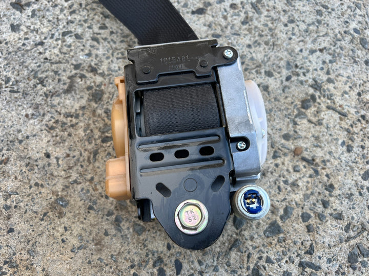 44540306