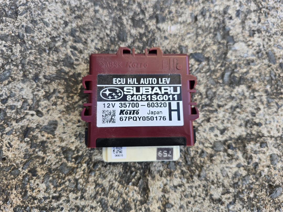 45334559