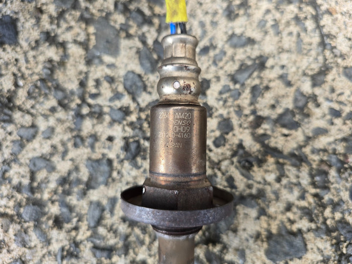45489291