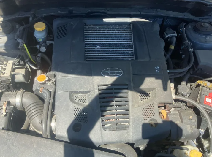 46954397