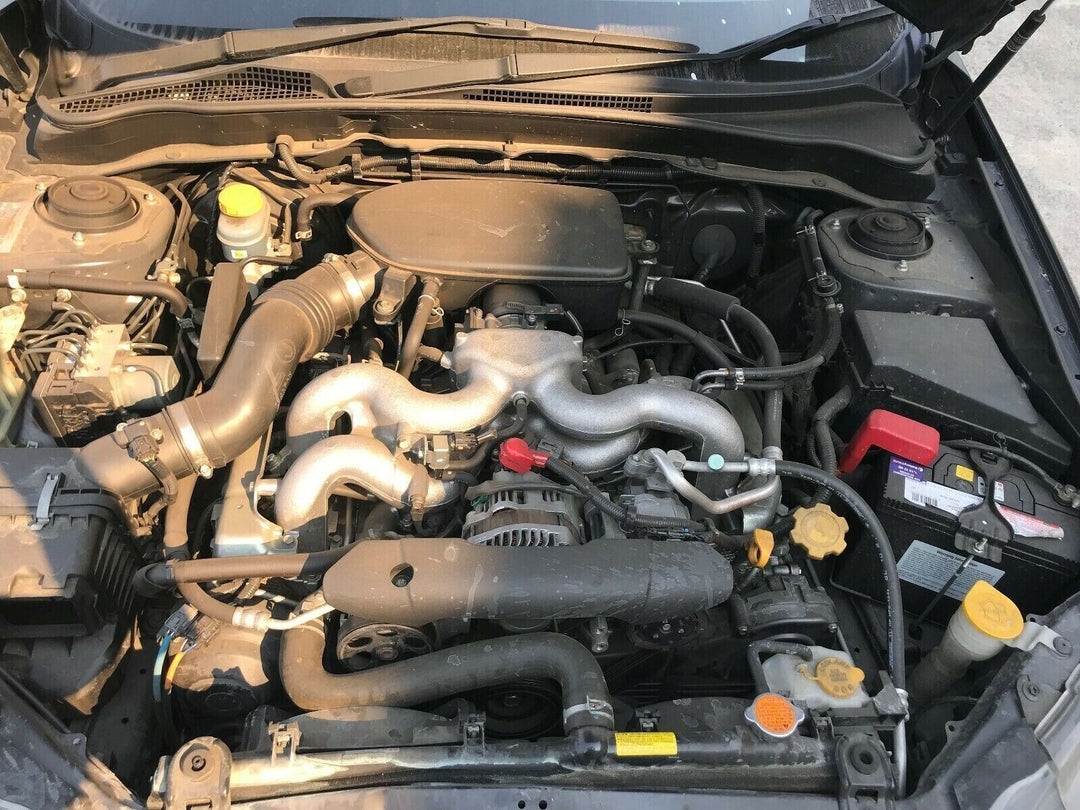 44015902