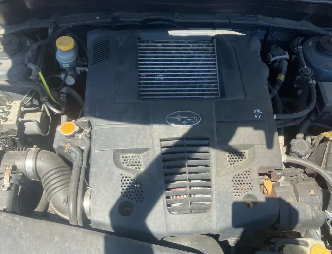 46954421