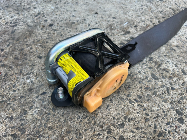 44540306