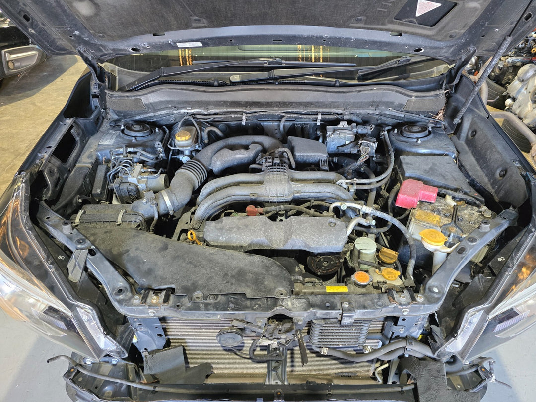 44580893